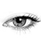 eye eye
